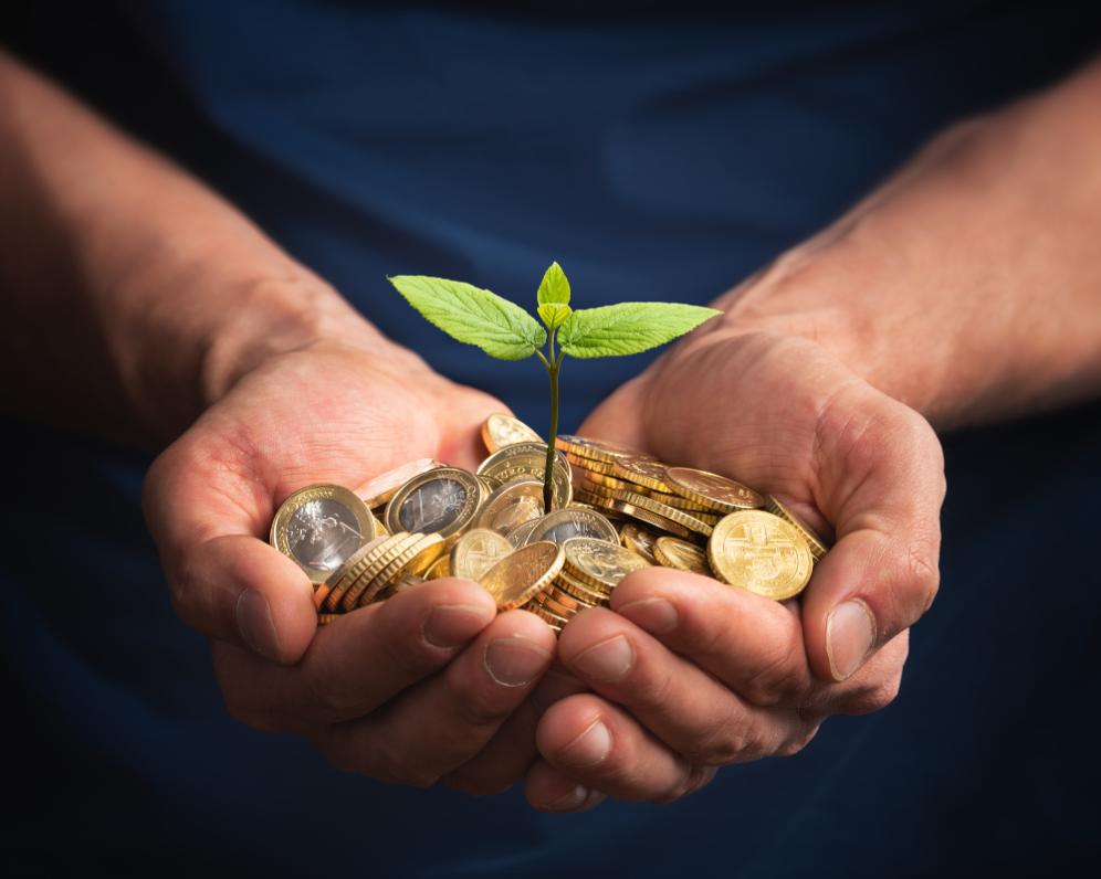 Zaujímavé investičné príležitosti za minimálny kapitál sa vyplatia